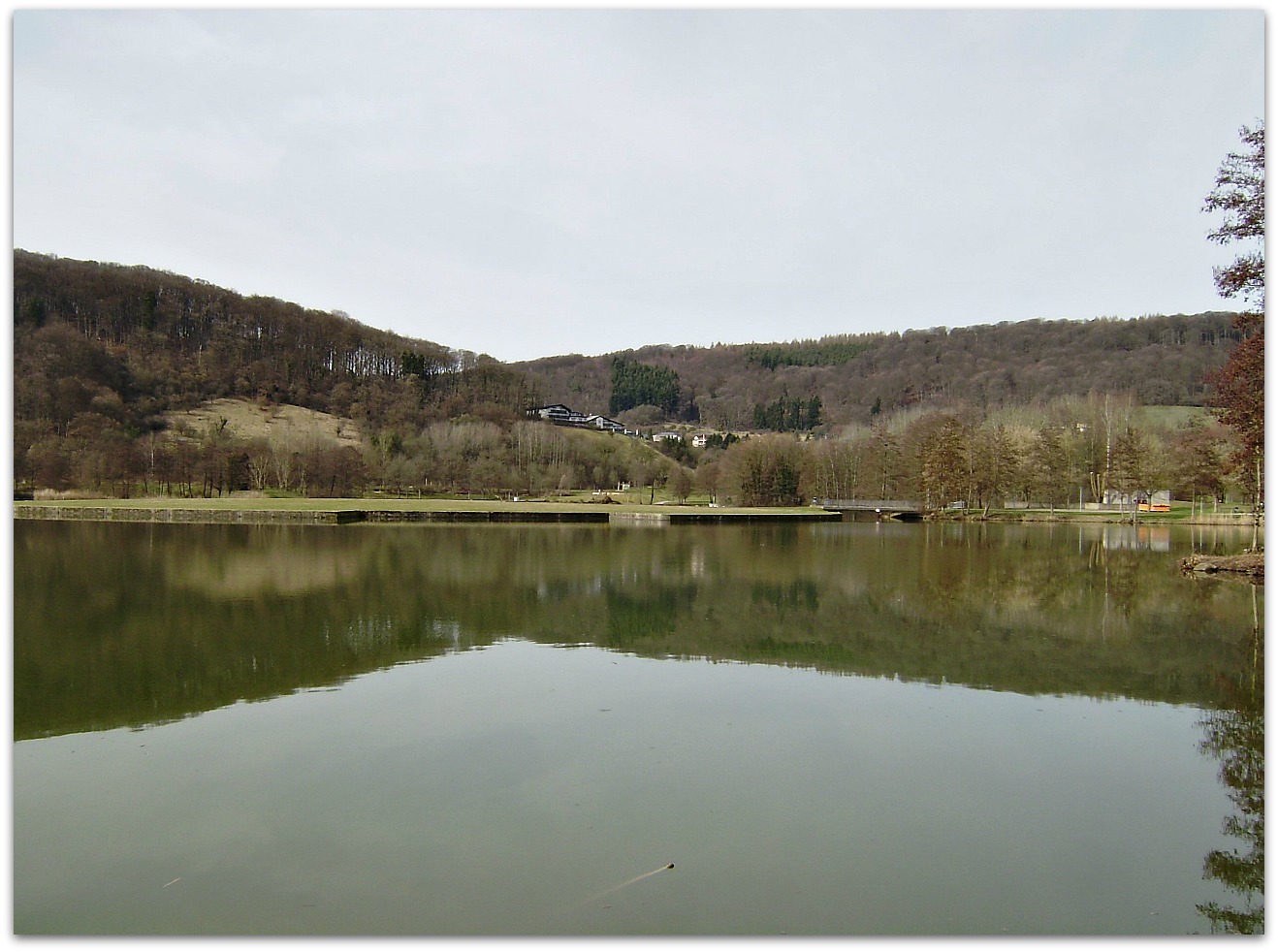 Ecommerce Free Masters Courses- With Top Business Advice to Change Results and Skyrocket Commissions