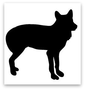 Telemark Skiing With Happy People on Hardangervidda National Park