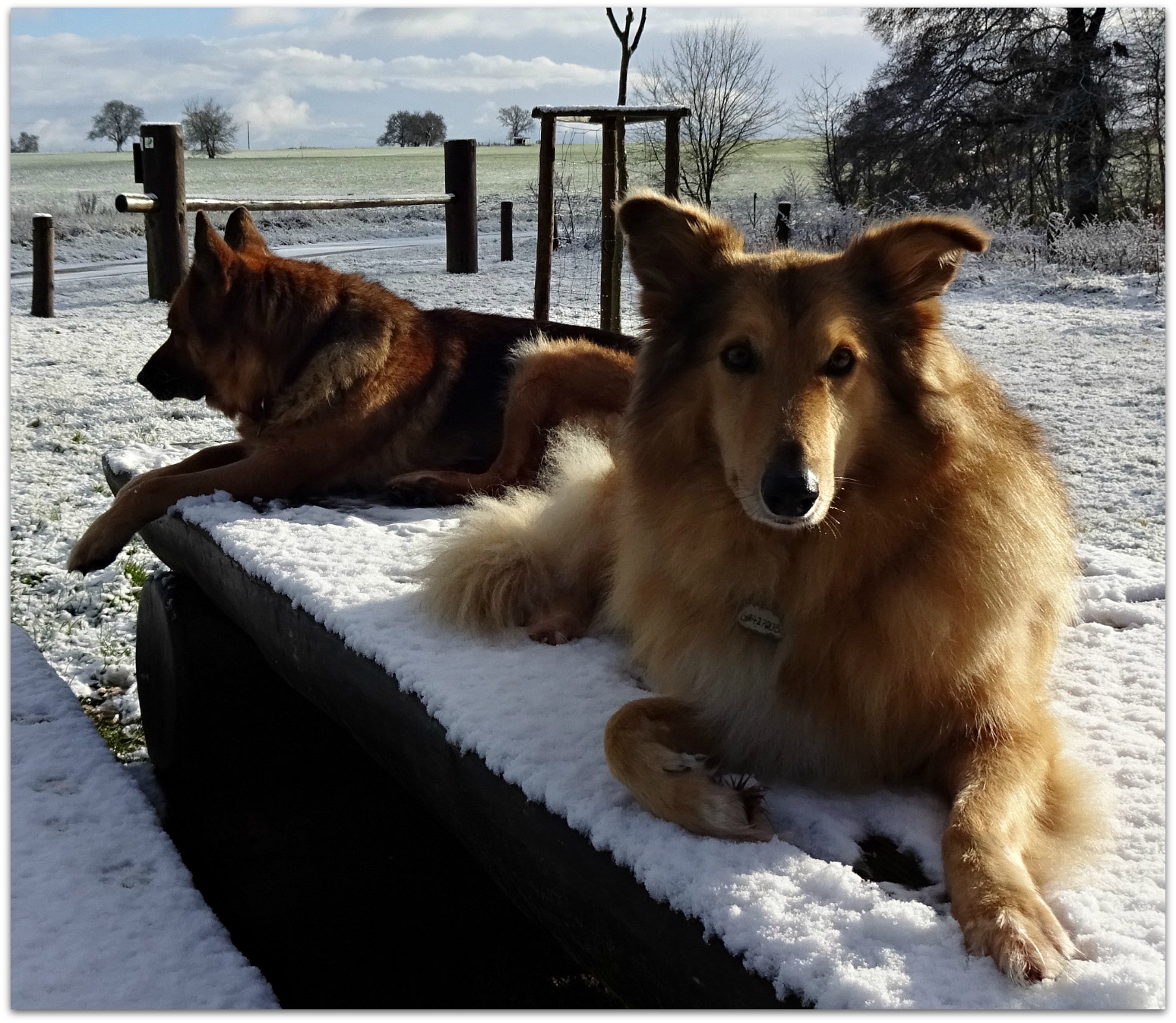 Digital Nomad and Your Work as Global Digital Nomad in The Future