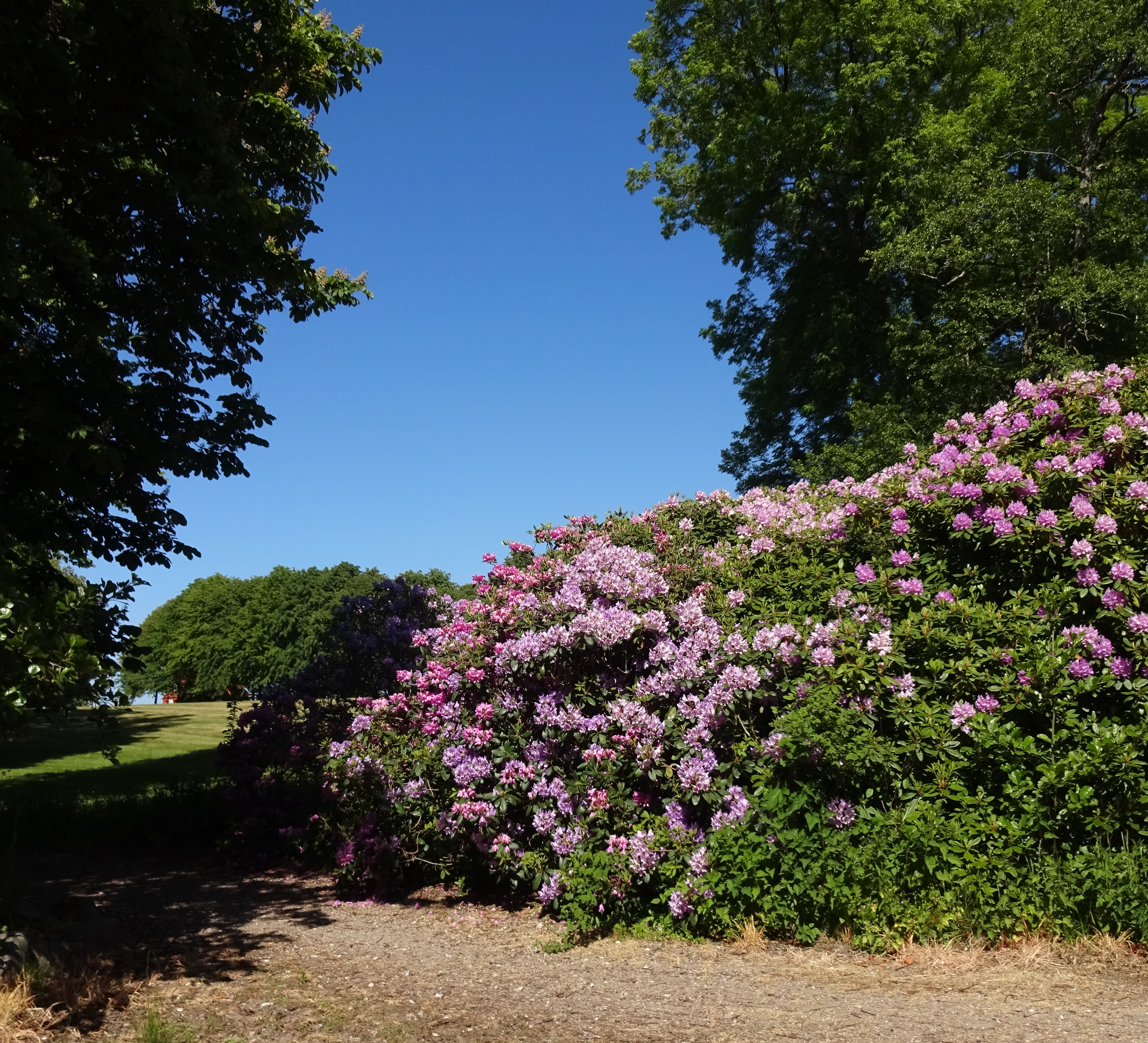 23-08-26-Loevenholm 23-08-26-Loevenholm